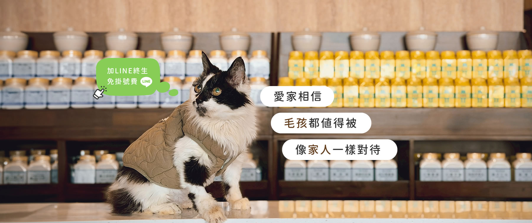 banner.fw_r1_c1.jpg banner.fw_r1_c1.jpg